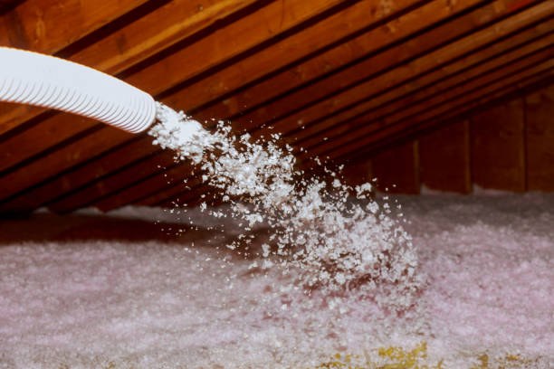 Best Insulation Contractors for Homes  in Ponderosa Park, CO