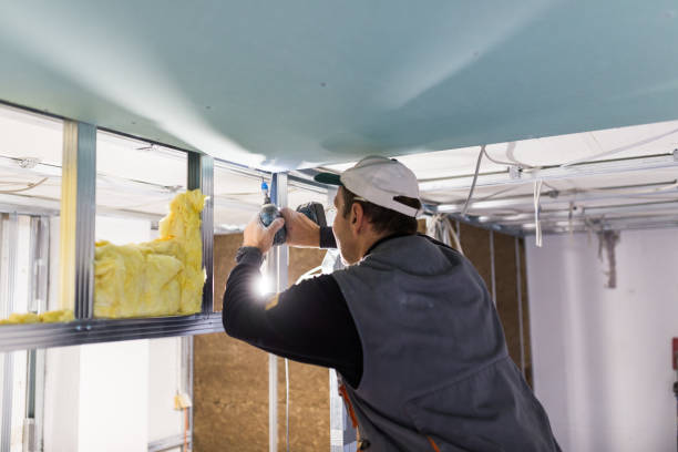 Best Crawl Space Insulation  in Ponderosa Park, CO