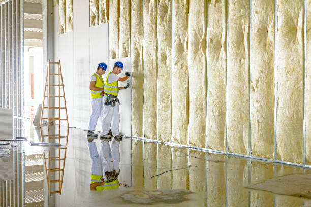 Best Insulation Contractor Near Me  in Ponderosa Park, CO